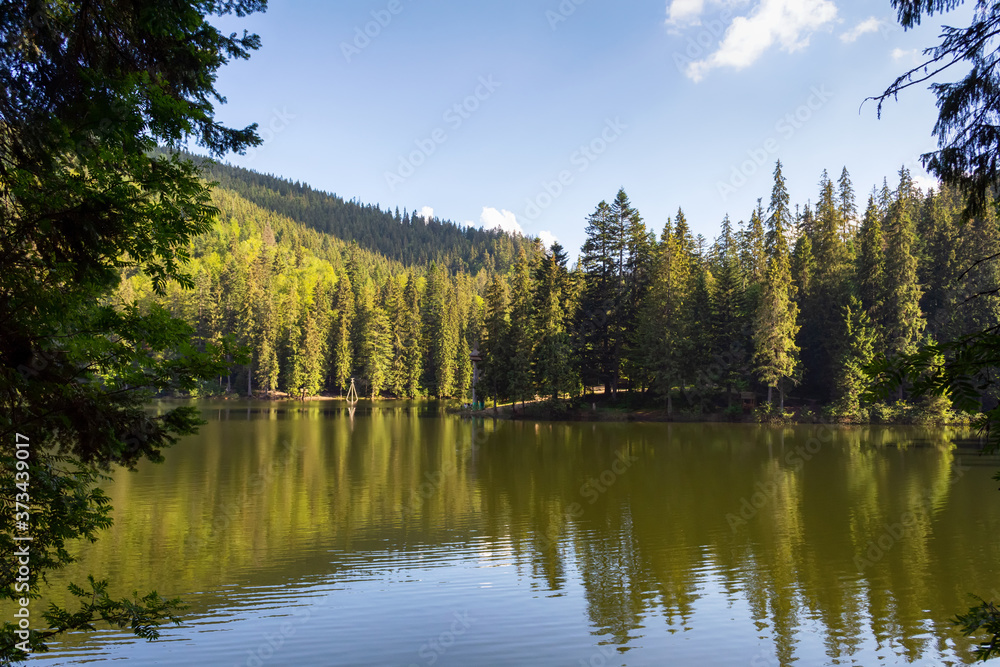 Beautiful mountain lake. Lake Synevyr. Ukraine. Carpathians. Natural nature. T