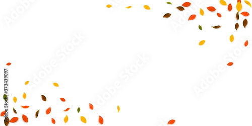Falling autumn leaves. Red, yellow, green, brown c