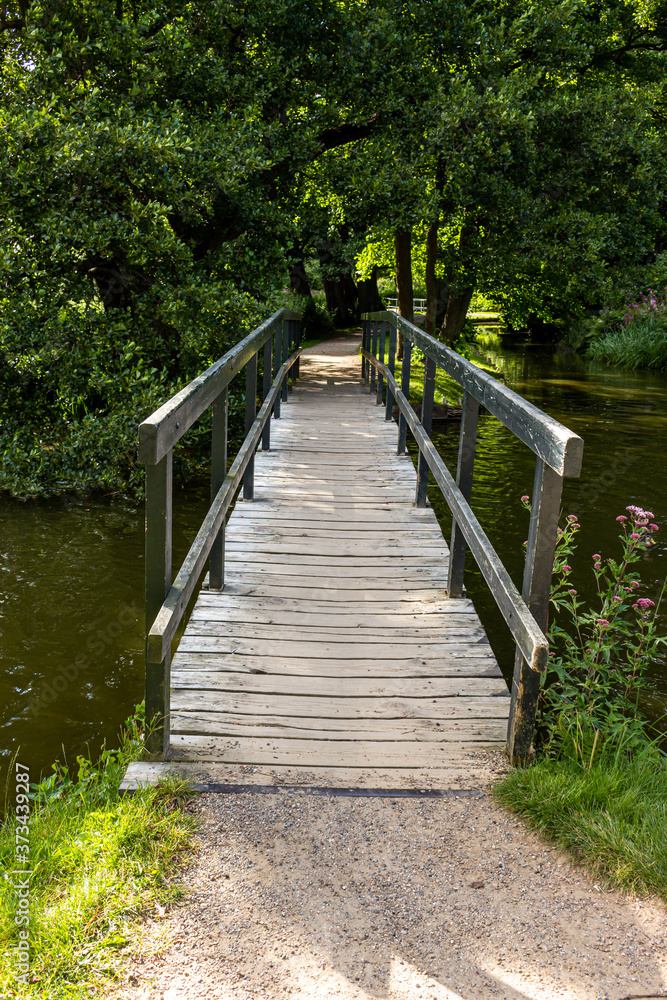 Obraz premium Puente de madera en medio del bosque