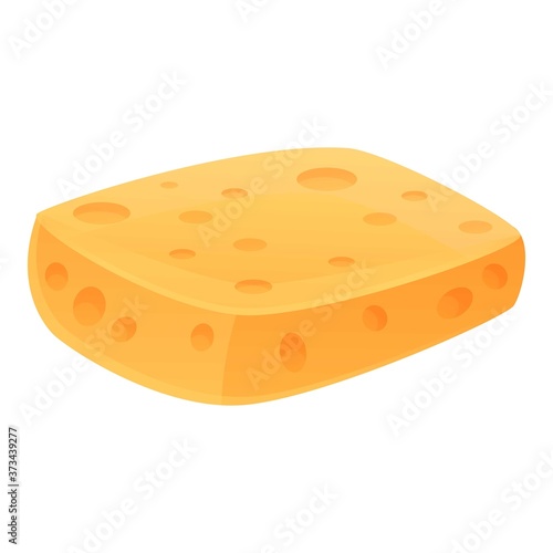 Foam washcloth icon. Cartoon of foam washcloth vector icon for web design isolated on white background