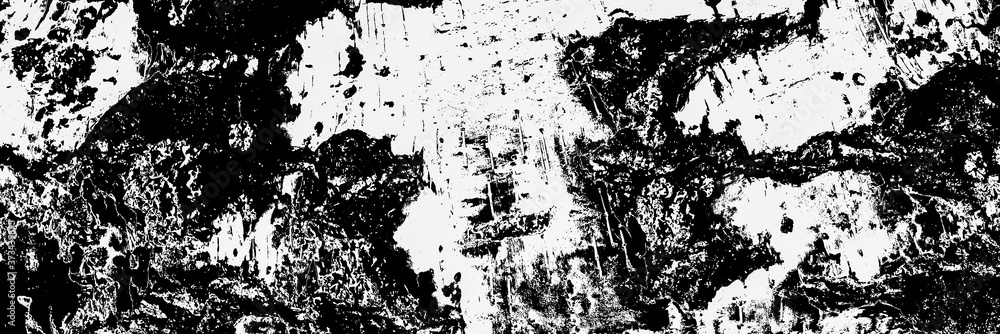 black and white background of birch bark