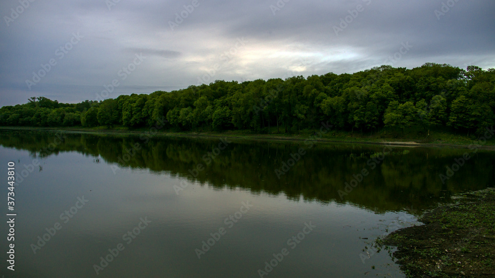 Mirror reflection of trees in water