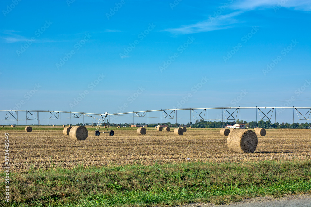 Obraz premium Baled straw coiled