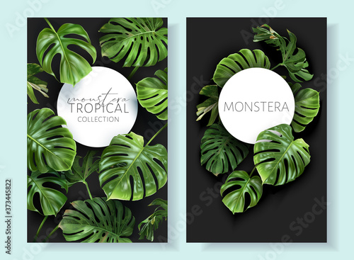 Vector tropical frames with green monstera leaves on black background. Luxury exotic botanical design for cosmetics, wedding invitation, summer banner, spa, perfume, beauty, travel, packaging design