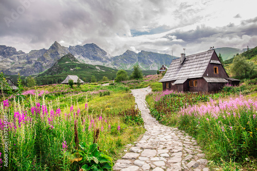 Hala Gasienicowa in Tatra Mountains Poland. Alpine style landscape in the summer. Wooden houses on a meadow with flowers. 