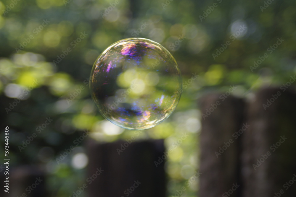 soap bubbles in the air soap bubbles in the air