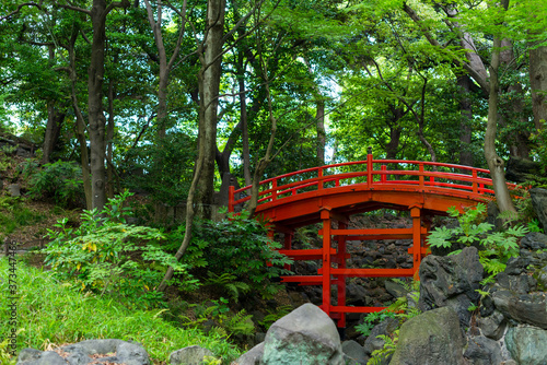 Beautiful red bridge in Koishikawa Botanical Gardens, Tokyo photo