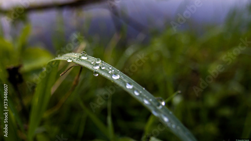 dew on grass © Александр Лихачев