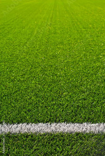 Wallpaper Mural Soccer field texture close up. Grass in the stadium. Finely mown lawn for sports grounds. Straight lines are drawn in white paint. Restrictive zones at the stadium. Torontodigital.ca