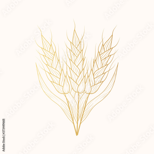 Malt, barley, wheat ears golden silhouettes. Gold cereal for beer making or bakery. Vector isolated vintage illustration. 