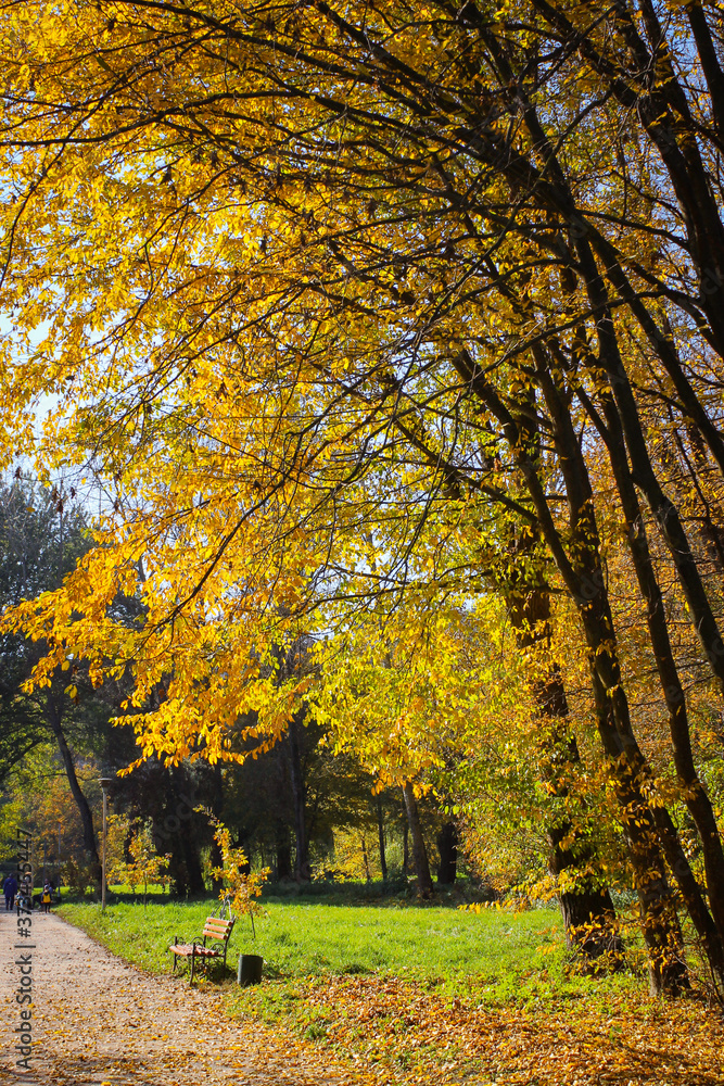 Autumn Landscape. Paths In The Park Are Covered With Yellowed Fallen Leaves Autumn Landscape. Paths In The Park Are Covered With Yellowed Fallen Leaves