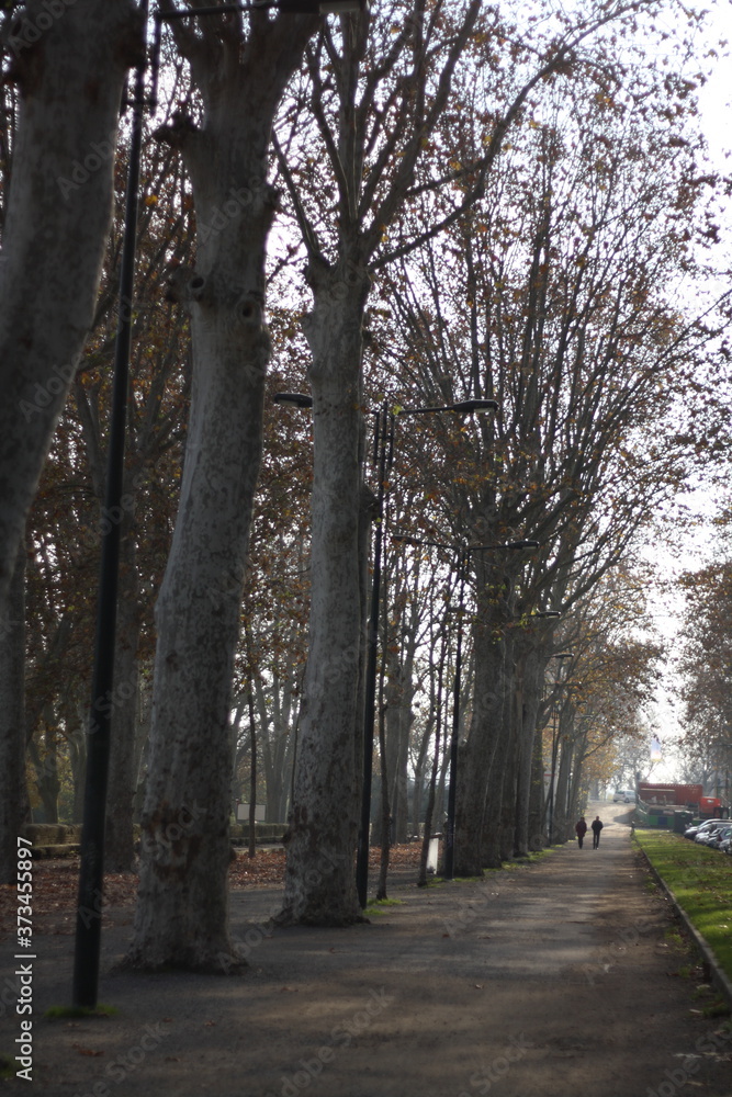 Footpath in autumn Footpath in autumn