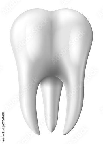 Vector Illustration of the Tooth