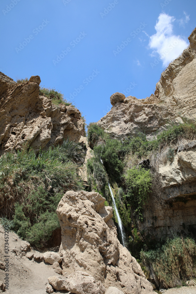 Ein Gedi National Park. Oasis of the Judean Desert.
