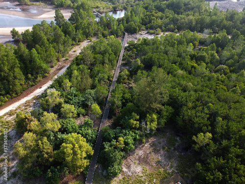 Aerial view of a wooden bridge that stretches along the coast between mangrove forests