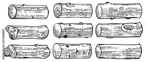 Logs. Stumps and trunks of trees. Outline hand drawing. Isolated vector objects on a white background. A sketch with a felt-tip pen, paper, ink.