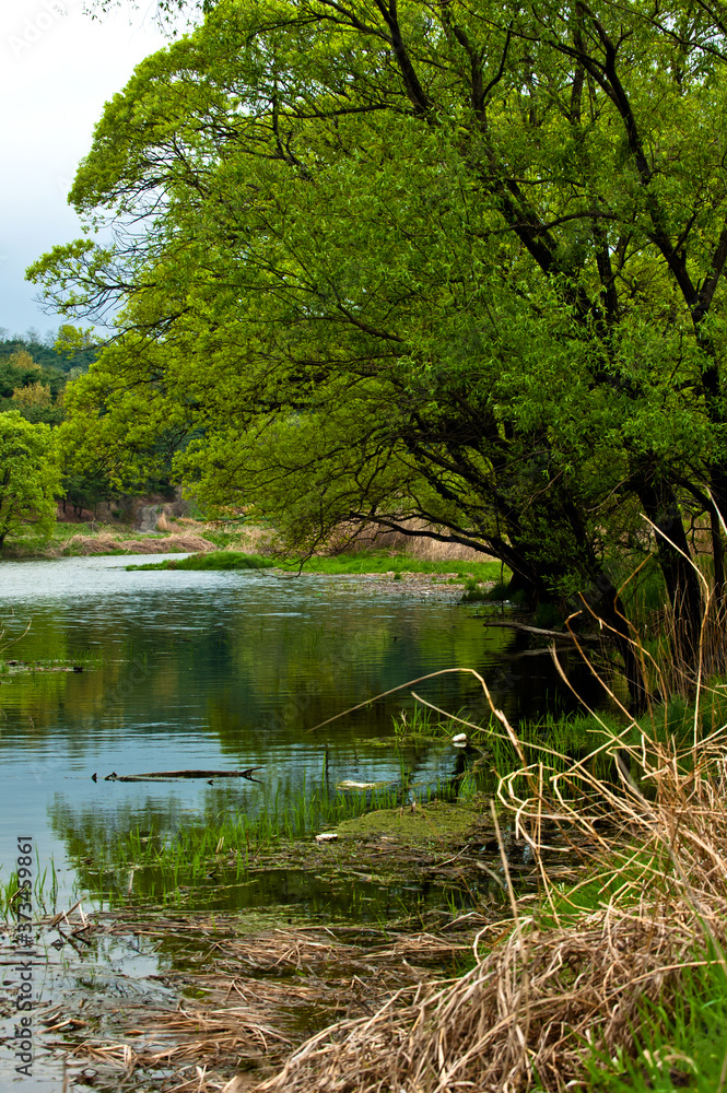 The beautiful landscape of lake side. The beautiful landscape of lake side.