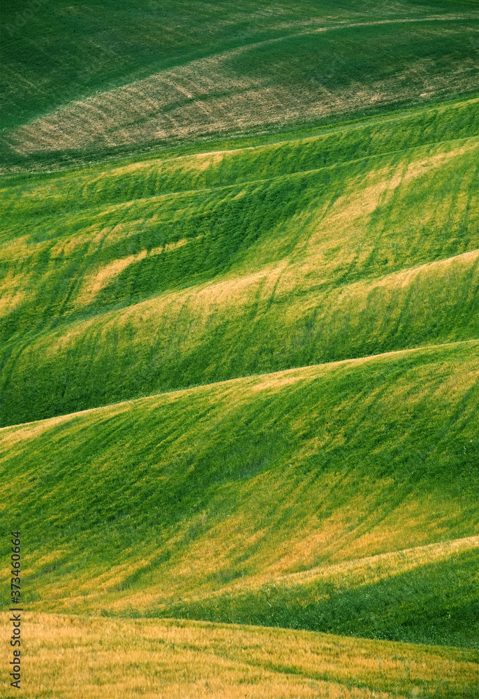 Obraz premium Summer landscape of Tuscany landscape, Italy
