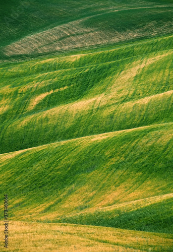 Summer landscape of Tuscany landscape, Italy © Rechitan Sorin