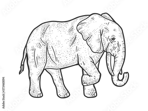 elephant sketch raster illustration