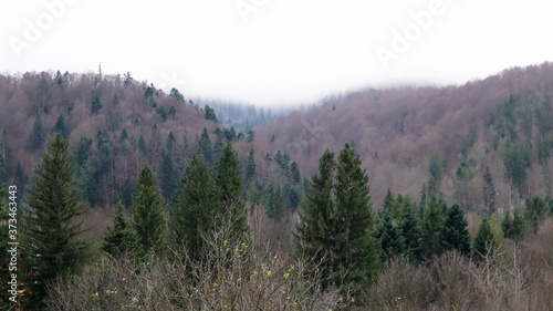 Colorful autumn landscape in the Carpathian mountains with mountain peaks. Carpathians, Ukraine, Europe. World of beauty. Forest with orange leaves. Autumn sunny day in western Ukraine.