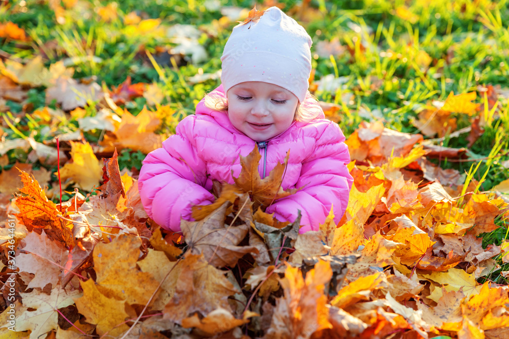 Happy young girl playing under falling yellow leaves in beautiful autumn park on nature walks outdoors. Little child throws up autumn orange maple leaves. Hello autumn concept. Happy young girl playing under falling yellow leaves in beautiful autumn park on nature walks outdoors. Little child throws up autumn orange maple leaves. Hello autumn concept.