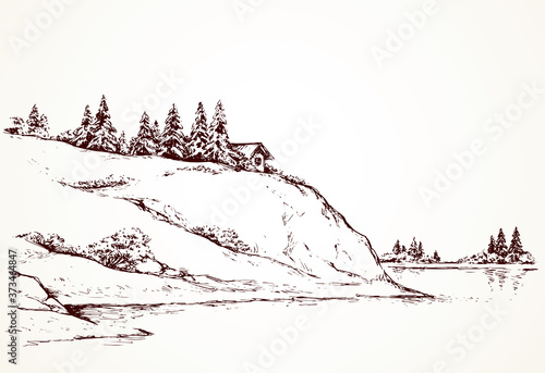 Firs on hill above river. Vector drawing