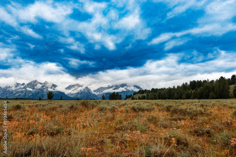 Scenic view of a field with the Grand Teton mountains on the background, in the State of Wyoming, USA