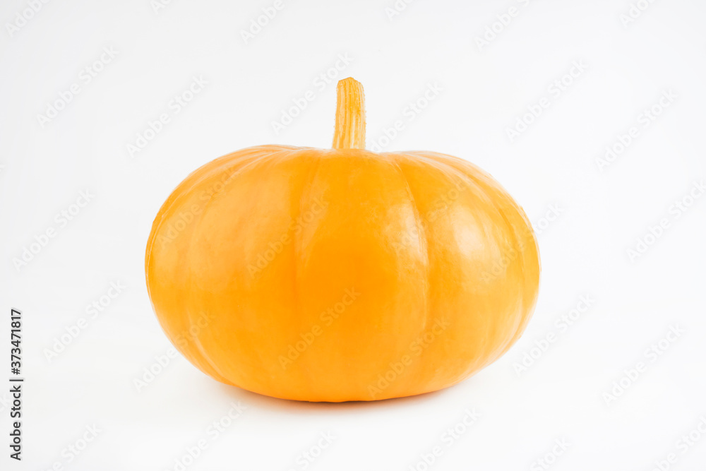 Obraz premium Pumpkin isolated on white with shadow and subtle reflection. Ripe orange yellow pumpkin. Harvest.