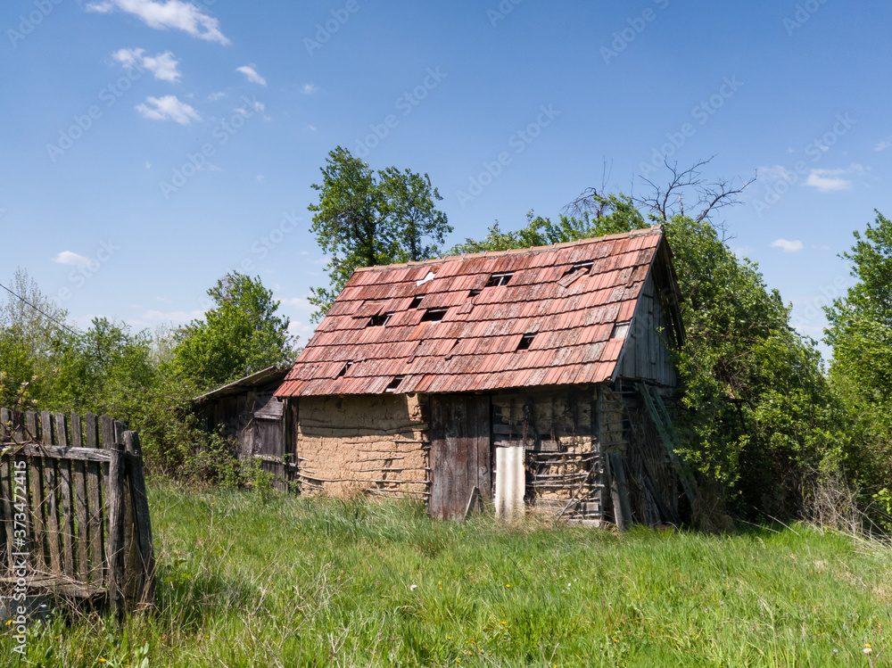 An old dilapidated abandoned cattle barn overgrown with thorns in the village during a sunny day in the spring.