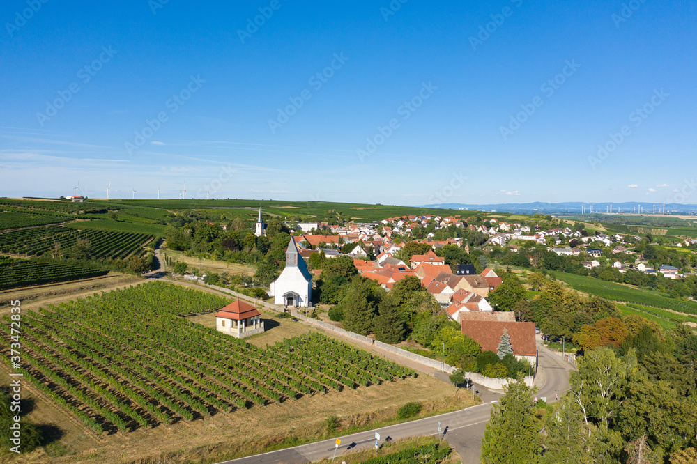 View of Mölsheim / Germany in Rheinhessen with a vineyard house and the church