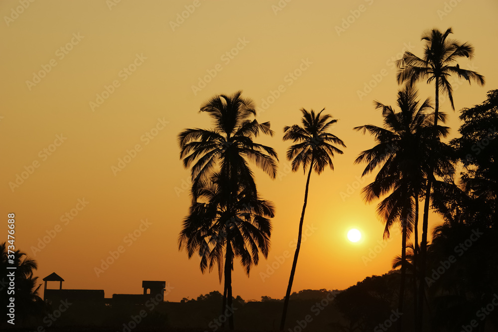 jungle at dawn. silhouette of palm trees against an orange dawn sky jungle at dawn. silhouette of palm trees against an orange dawn sky
