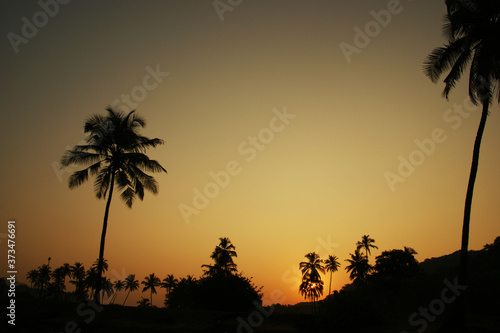 jungle at dawn. silhouette of palm trees against an orange dawn sky