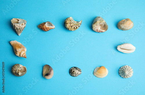 Frame made with different sea shells on light blue background, flat lay. Space for text