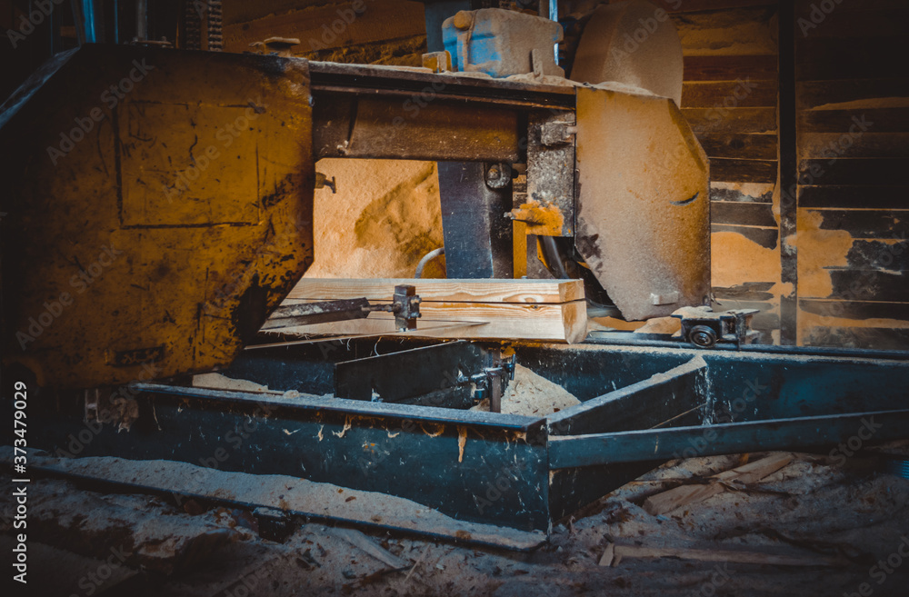 Fototapeta premium Sawmill. Process of machining logs in sawmill machine saws the tree trunk
