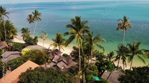 Palms on beach near blue sea. Drone view of tropical coconut palms growing on sandy shore of clean blue sea on resort © Dogora Sun