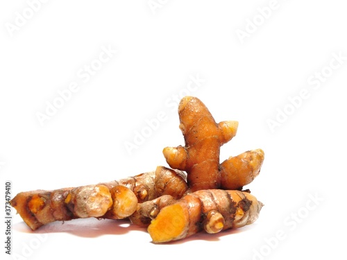 Close Up Turmeric or Curcuma Longa Linn isolated on white background