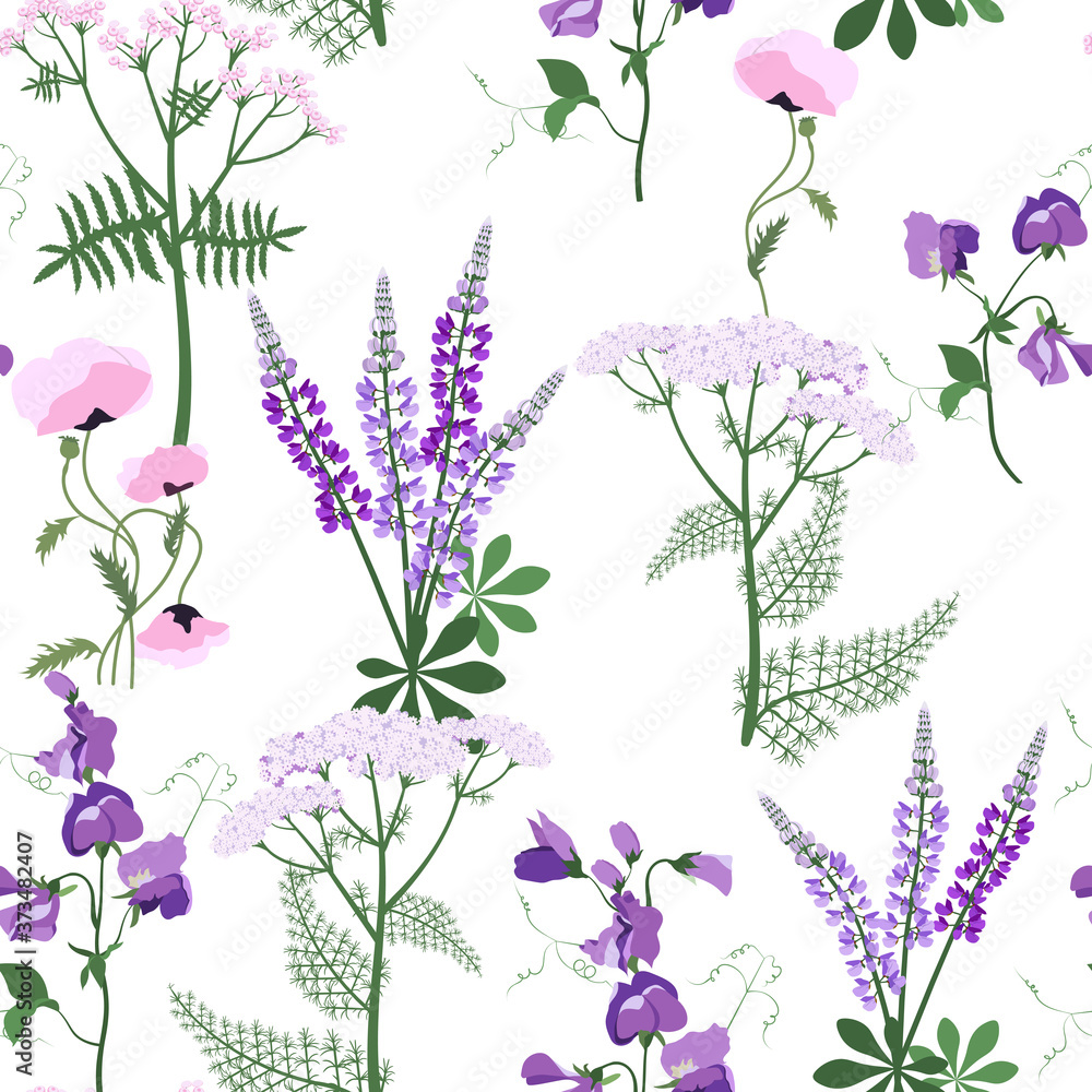 Wild flowers. Seamless summer pattern with lupine,poppy, yarrow and sweet pea. Vector illustration.