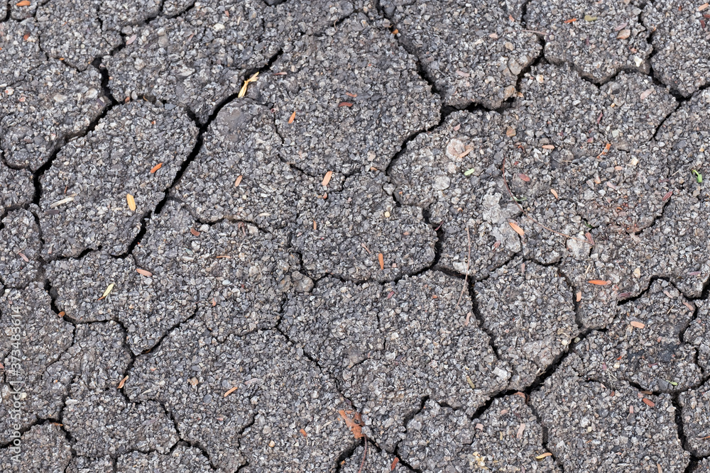 Nature background of cracked dry lands. Nature background of cracked dry lands.