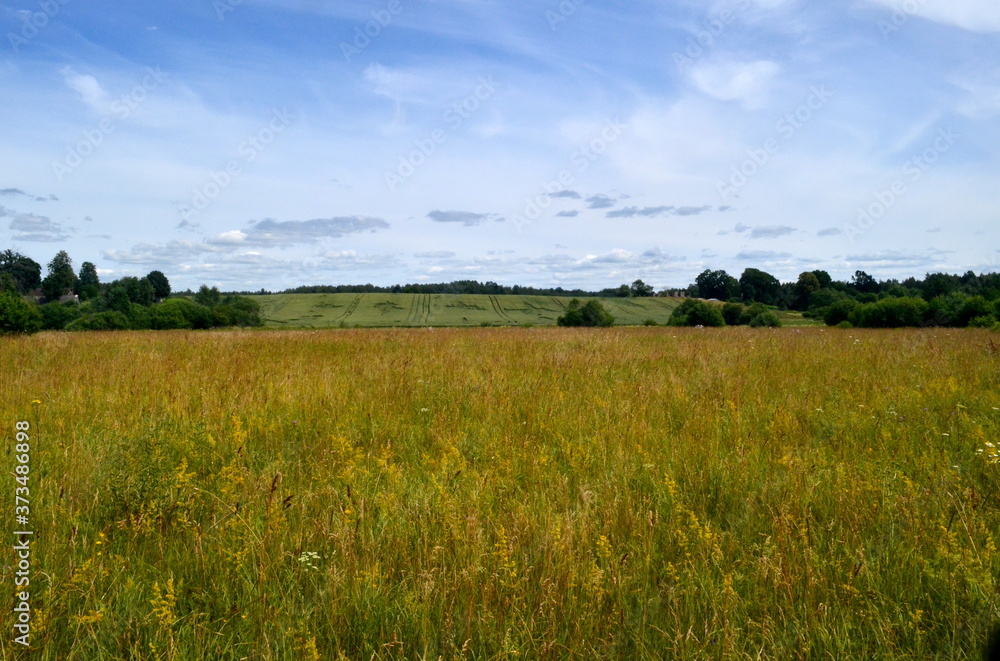 Rural landscape with wind damaged cereal field, Latvia