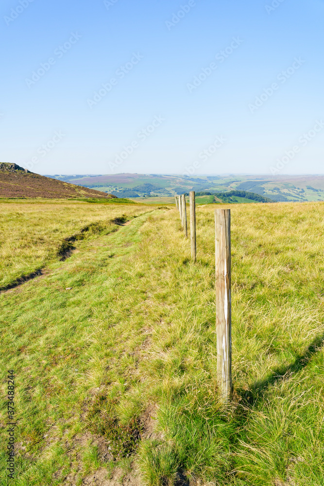Line of wooden fence posts on Callow Bank, Derbyshire