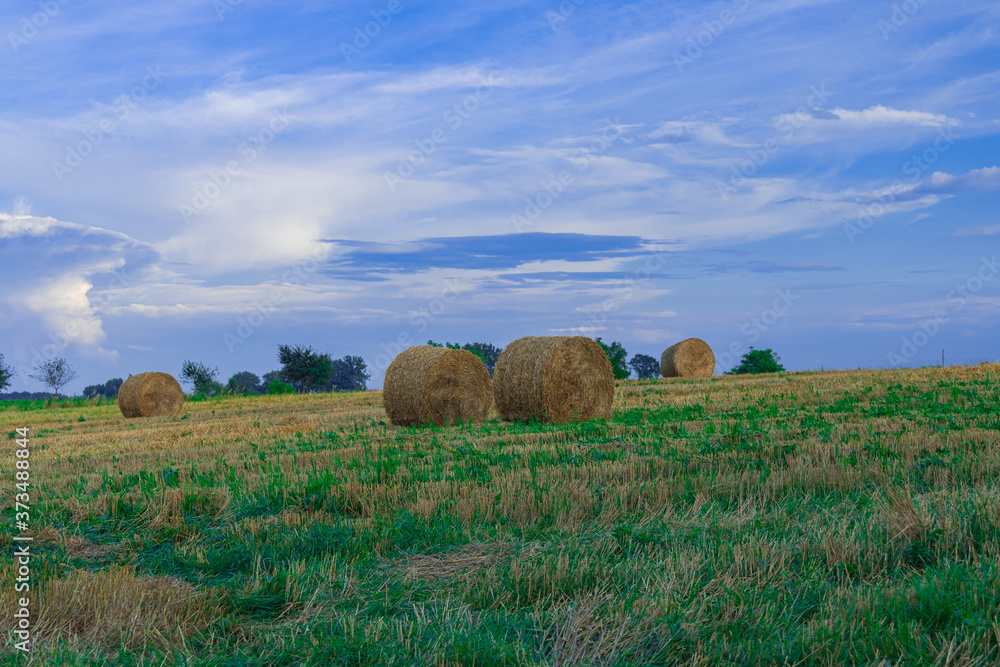 harvest season concept scenic view agriculture field with stack of hay in peaceful and calm evening clear weather time in September
