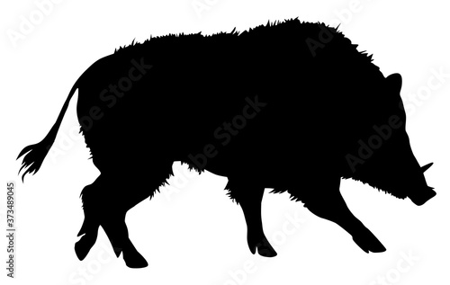 Fotobehang silhouette of wild boar vector