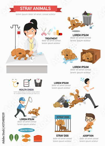 stray animal infographic vector illustration.