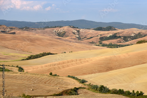 Weiche Hügel mit Felden in der Crete Senesi