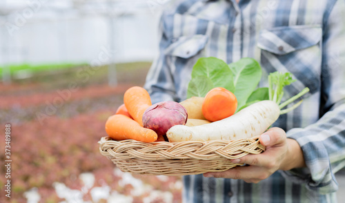 Fototapeta Naklejka Na Ścianę i Meble -  Farmer holding a basket of organic vegetables.