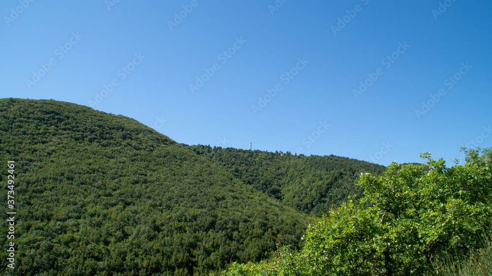 Vista lungo il sentiero a Serra San Quirico Vista lungo il sentiero a Serra San Quirico