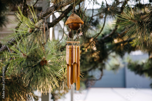 Asian bamboo musical chime hanged on tree.
