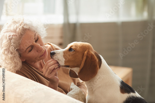 Portrait of white haired senior woman playing with dog and giving him treats while sitting on couch in cozy home interior, copy space