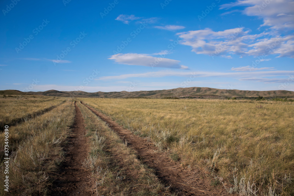 Country road. Dirt-track. Rural landscape. Steppe.